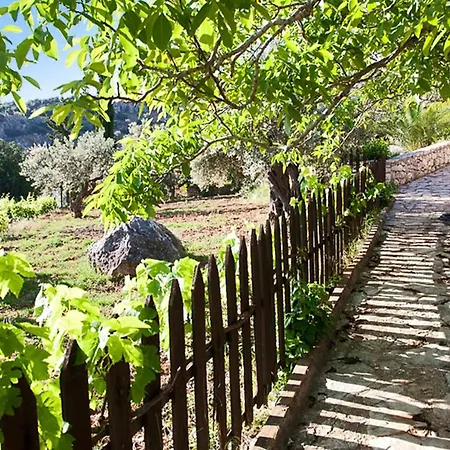 Villampogaziou Ii *